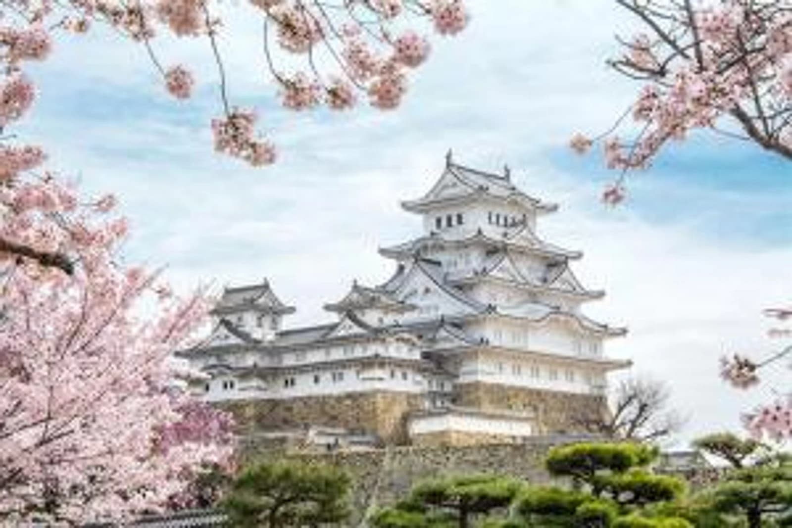 北巽サクラハウス一軒家 Sakura House Guest House Kitatatsumi 最大16名 6
